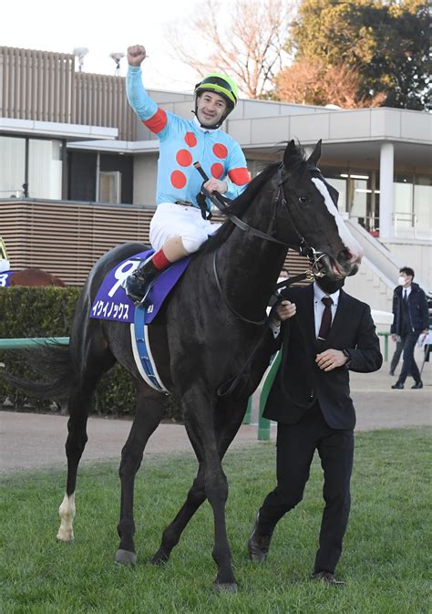 Jc圧勝のイクイノックス電撃引退、有馬記念は使わず種牡馬入り 競馬写真ニュース 日刊スポーツ