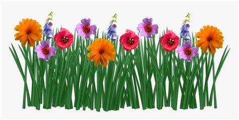 Transparent Spring Flowers Clipart Drawing Flowers And Grass HD Png