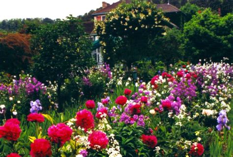 En El Jardin De Dios Hay Muchas Flores