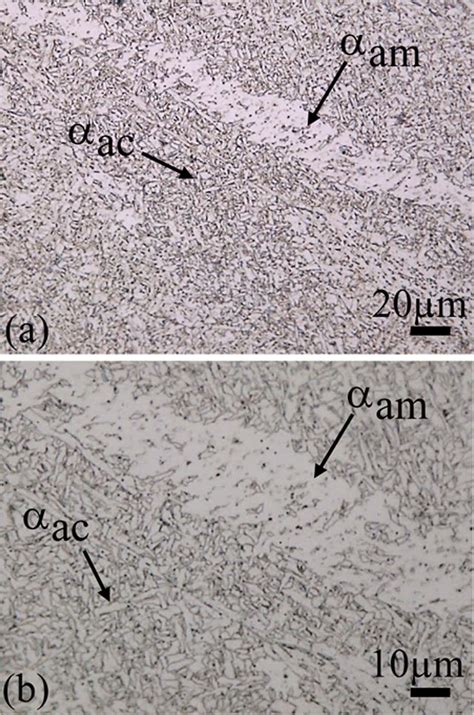 Fusion Zone Micrographs Showing Acicular Ferrite α Ac Download