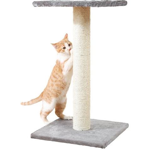 SMARTCAT The Ultimate 32 In Sisal Cat Scratching Post Gray Chewy