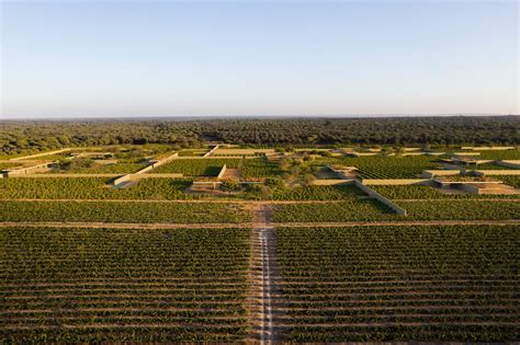 Transformación de Herdade da Barrosinha en Alcácer do Sal OODA