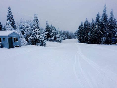 Station De Ski Mont Orignal Coop Rative De Solidarit Ski De Fond