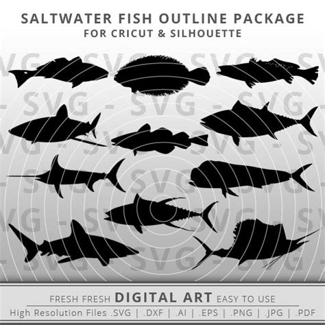 11 Saltwater Fish Bundle Fish Svg Sailfish Tuna Fishing Svg Fo