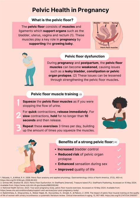 Your Guide To Pelvic Floor Muscles In Pregnancy Freedom Care Clinics