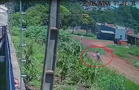 C Mera Flagra Momento Em Que Mulher Joga Roupas E Ateia Fogo Em Matagal