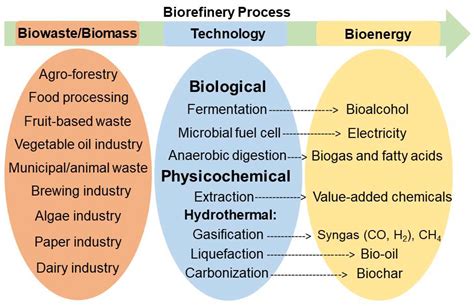 Molecules Free Full Text Deep Eutectic Solvents For Pretreatment Extraction And Catalysis