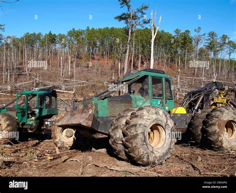 A logging skidder works in a pine forest Stock Photo - Alamy