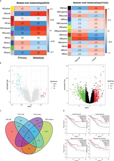 Frontiers Identification And Validation Of Metastasis Related Gene