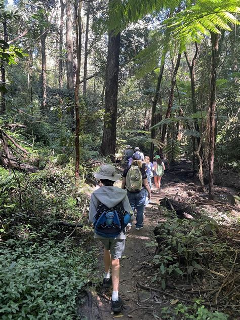 School Holiday Bushland Adventure For Primary Age Children