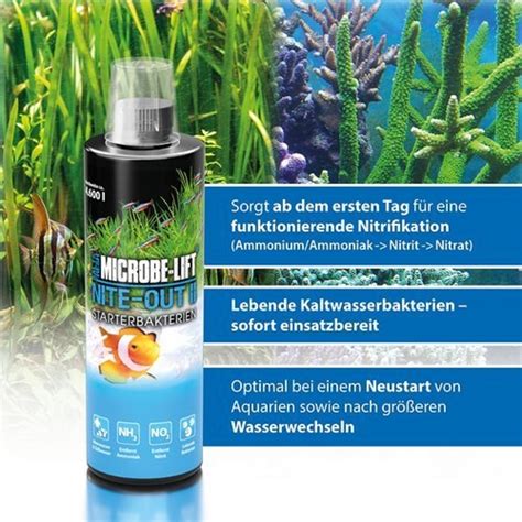 Microbe Lift Nite Out II 473ml Filterstarter