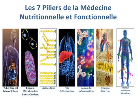 Micronutrition Lyon Caluire Et Cuire Elisabeth Lafaverge Reflexologue