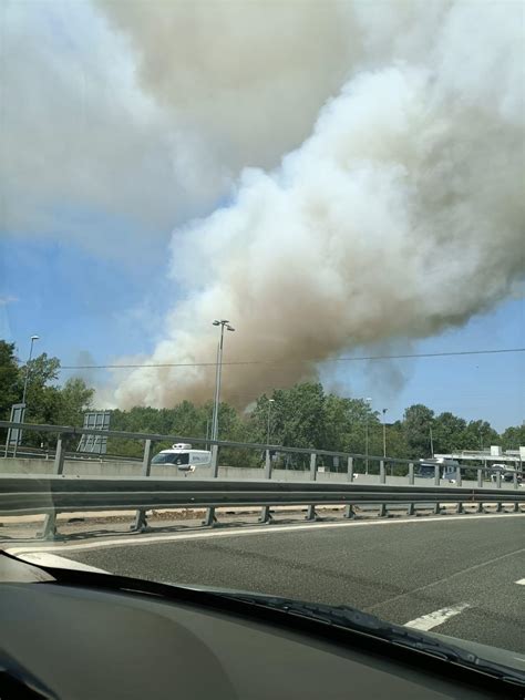 Incendio Sul Carso Diversi I Focolai Evacuata La Barriera Del Lisert