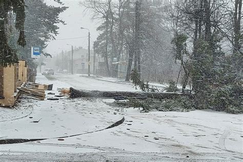 Piorun uderzył w dom przewrócone drzewa brak prądu Pabianice