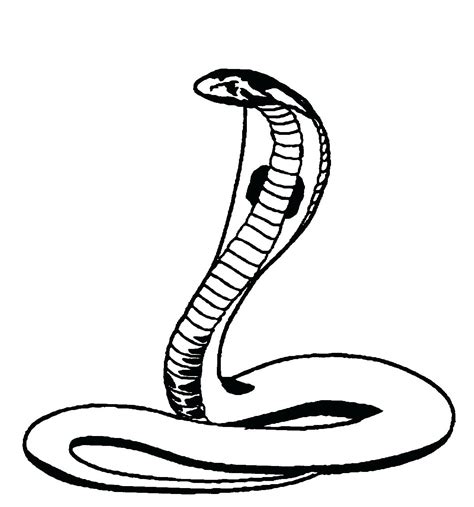 Snake Line Drawing At Explore Collection Of Snake