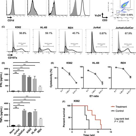 Invariant Natural Killer T Inkt Cells Recognize Cd1d‐negative