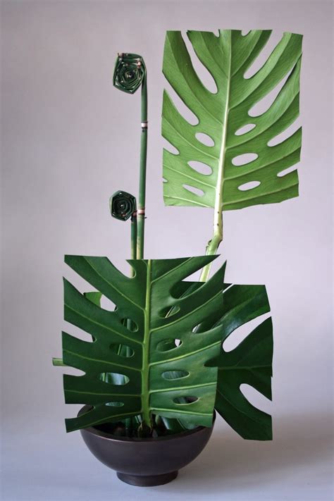 ikebana-2011-3141.jpg — Are.na