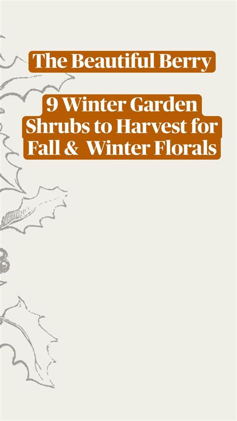 The Beautiful Berry Winter Garden Shrubs To Harvest For Fall Winter