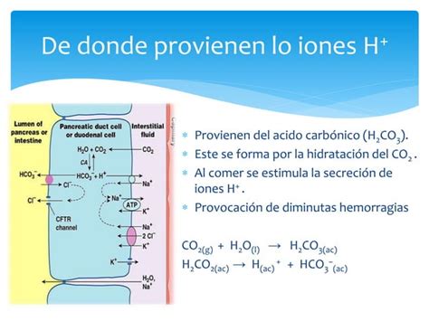 Antiacidos Y Balance Del PH En El Estomago PPT