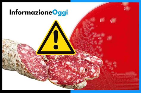 Salmonella Spp Nel Salame Della Lidl Non Mangiatelo Nuovo Richiamo