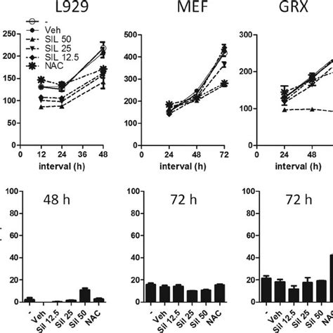 Silymarin Inhibits Fibroblast Proliferation A L929 Murine