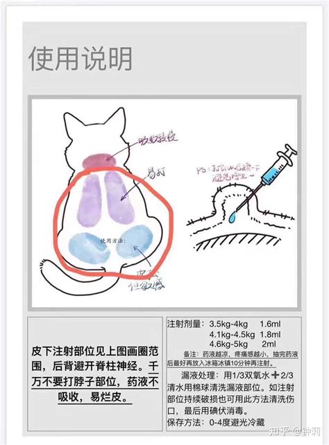 猫传腹要花多少钱441治疗持续更新中 知乎