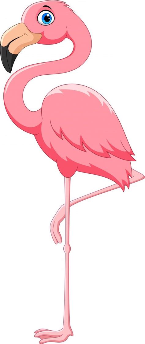 P Ssaro Flamingo Rosa Dos Desenhos Animados Vetor Premium Flamingo