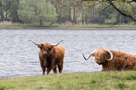 10 Things To Do In Loch Lomond And The Trossachs National Park Scotland National Parks Scotland