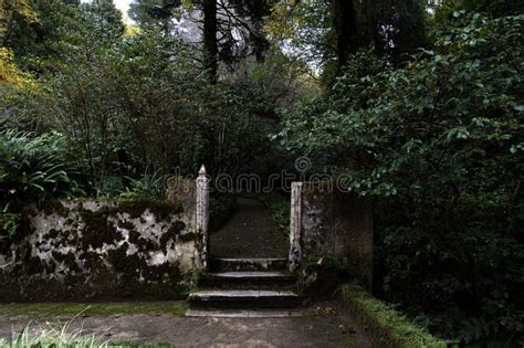 Old Weathered Wall And Steps Covered With Moss And Moisture In A Park