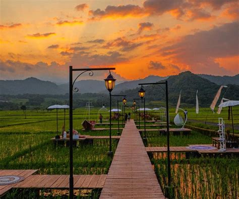 Mahaloka Paradise Cafe Warung Kopi Berbalut Panorama Alam Paket