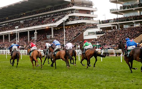 Cheltenham Racecard: Your ultimate guide to Tuesday's 7 races