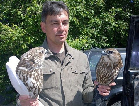 Редких соколов, изъятых у контрабандистов из Бурятии, выпустили на волю ...