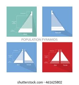 82 Stationary Population Pyramid Images, Stock Photos & Vectors ...