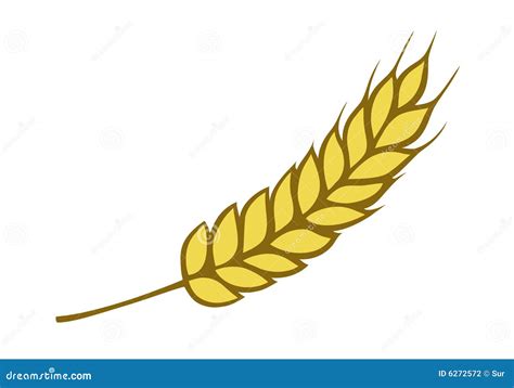 Wheat Vector Illustration 11121828