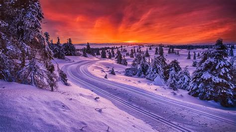 Hintergrundbilder B Ume Landschaft Sonnenuntergang Nacht Schnee