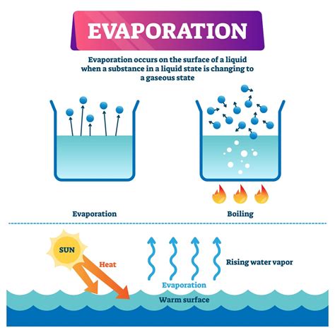 Why Does Water Evaporate At Room Temperature