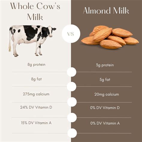 Cow Milk vs. Almond Milk: A Nutrition Comparison — Saint John's Organic Farm