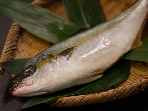 Omakase Fishbox Assorted Fresh Fish Selection Ocean Boy Co Ltd