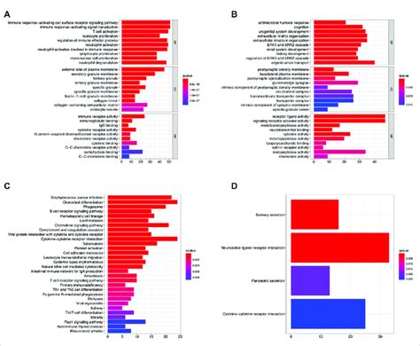 The GO Enrichment And KEGG Pathway Enrichment Analysis Identified In