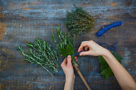 How To Make A Herb Brush Features Jamie Oliver