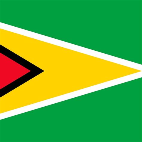 Premium Vector Guyana Flag Official Colors Vector Illustration