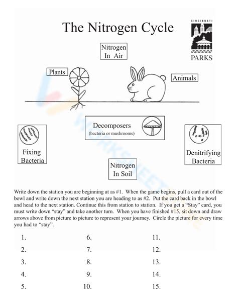 Free Printable Worksheets On Nitrogen Cycle Worksheets