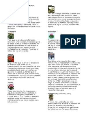 Fichas Plantas Suculentas Y Cactus Pdf Hoja Tallo De La Planta Artofit