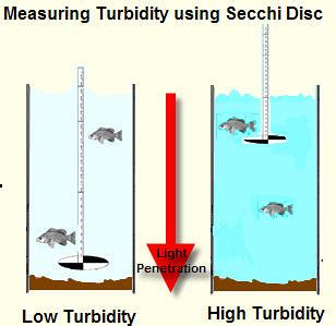 Turbidity - Energy Education