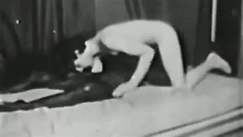 Free 70s Interracial Porn Videos XHamster