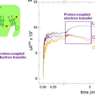 Flash Photolysis Experiments A Civ In The Mixed Valence State Top