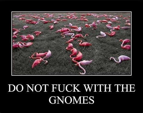 Do Not Fuck With The Gnomes Drunkcyclist
