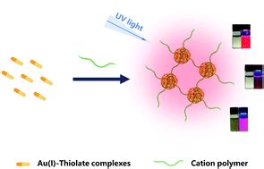 Cation Polymer Induced Aggregation Of Water Soluble Au I Thiolate