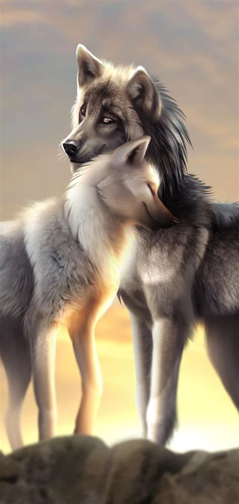 Cute Wolves Wallpapers Top Những Hình Ảnh Đẹp