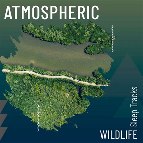 Atmospheric Wildlife Sleep Tracks Album By Mother Nature Sound Fx